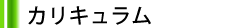 カリキュラム